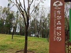 -东郊湿地公园