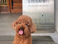 -喜洲吧·江畔老船厂·庭院餐厅(喜临院店)