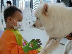 -怪兽屋·羊驼·猫咖·狗咖(俊华广场店)