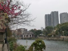 -温江公园