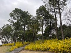 -美兰湖景区