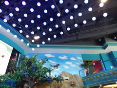 -幸福花欢乐世界(东辰广场A座店)