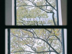 -城外有星光桥舍(南山店)