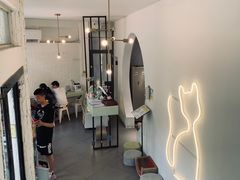 -有猫主题·治愈系猫咖(曾厝垵店)