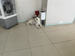 -怪兽屋·羊驼·猫咖·狗咖(俊华广场店)