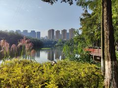 -重庆彩云湖湿地公园