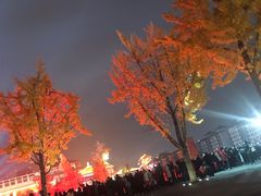 -大雁塔北广场音乐喷泉
