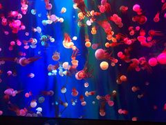 -成都浩海立方海洋公园