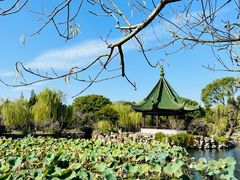 -无锡蠡湖国家湿地公园-蠡园