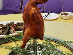-将军陂美食山庄·瓦缸炭烧鸡