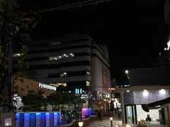 -宝健路步行街(Pedestrian Shopping Street)