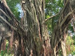 -广州中山纪念堂