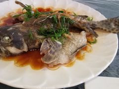 清蒸石斑鱼-覃记海鲜美食餐厅