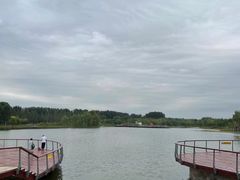 -东郊湿地公园
