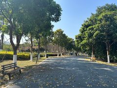 -琅岐红光湖公园