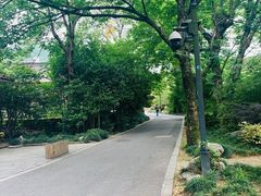 -法云古村