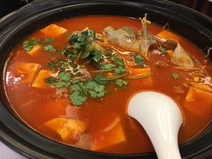 酸汤鱼-贵州大厦贵州厅(樱花园西街店)