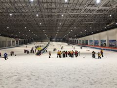 -绍兴启迪乔波冰雪世界