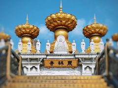 -上海东林寺(金山区)