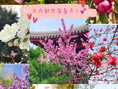 -元大都城垣遗址公园