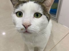 -佳雯宠物医院·皮肤科·内外科(春晓路分院)