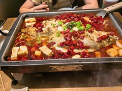 海鲈鱼-炉鱼(萧山万象汇店)