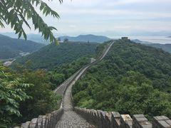 -黄贤森林公园