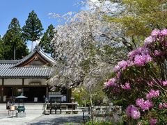 -三千院
