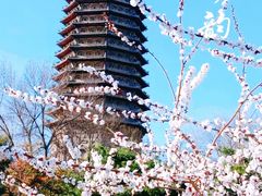 -玲珑塔公园
