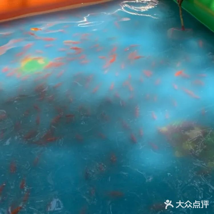 好玩又有趣的遛娃宝藏地,田妈妈魔法森林