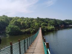 -西峡恐龙遗迹园