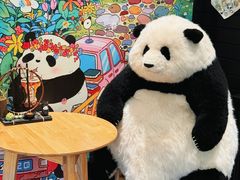 -轩客会(熊猫书店)