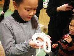 -藦茜花园宠物主题亲子互动体验馆(国顺东路店)