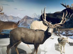 -陕西自然博物馆