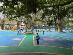 -广东茂名森林公园