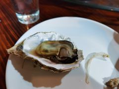 -石岐乳鸽村(南海第三分店)