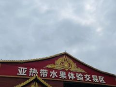-曼阁市场水果批发市场