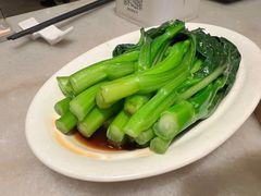 -金鼎轩(方庄天坛店)