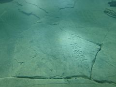 -白鹤梁水下博物馆