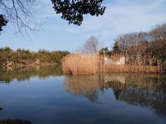 -沙家浜风景区