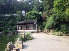 iphone_upload_pic-忠山公园