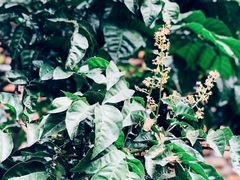 -一粥(华侨城创意文化园店)