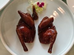 -顺峰(阜成店)