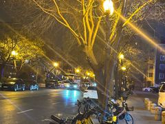 -真剑日本料理·铁板烧(贵州路店)