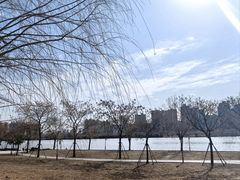-咸阳湖景区