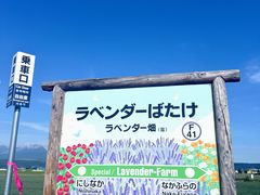 -富田农场