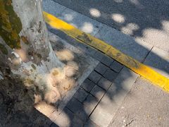 -璐坊粽王(复兴中路店)