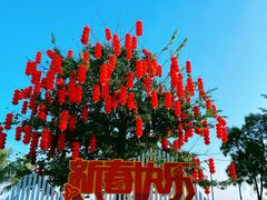 -深圳湾公园(南山区)