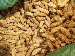 -浙江大学医学院附属第一医院(庆春院区)