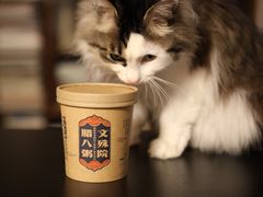 -香园自助小火锅